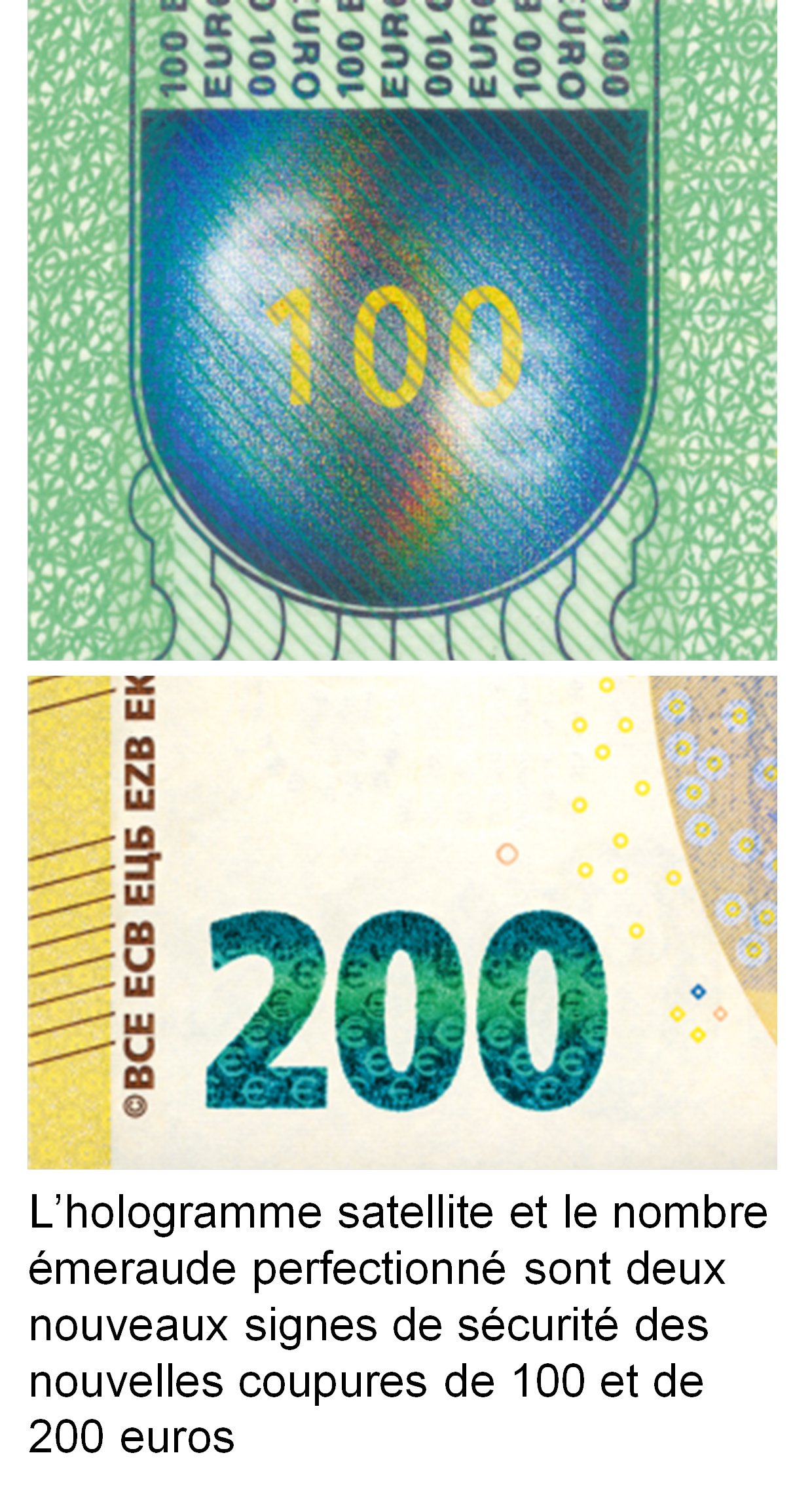 Agenda journalier Couronne euros/cents - 2024 - Assortis - Agenda